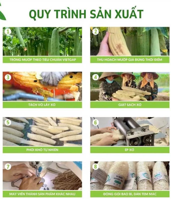 KB Bông Tắm Xơ Mướp 2 Mặt Xơ KB Ecolife Size L 100% Oganic Không Tẩy Trắng Và Hóa Chất Độc Hại An Toàn Cho Da 5