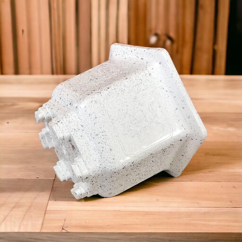   10 Cái Tuỳ Màu  Chậu Nhựa Lục Giác Mini 160 Trồng Sen Đá Dày Dặn 17x12 