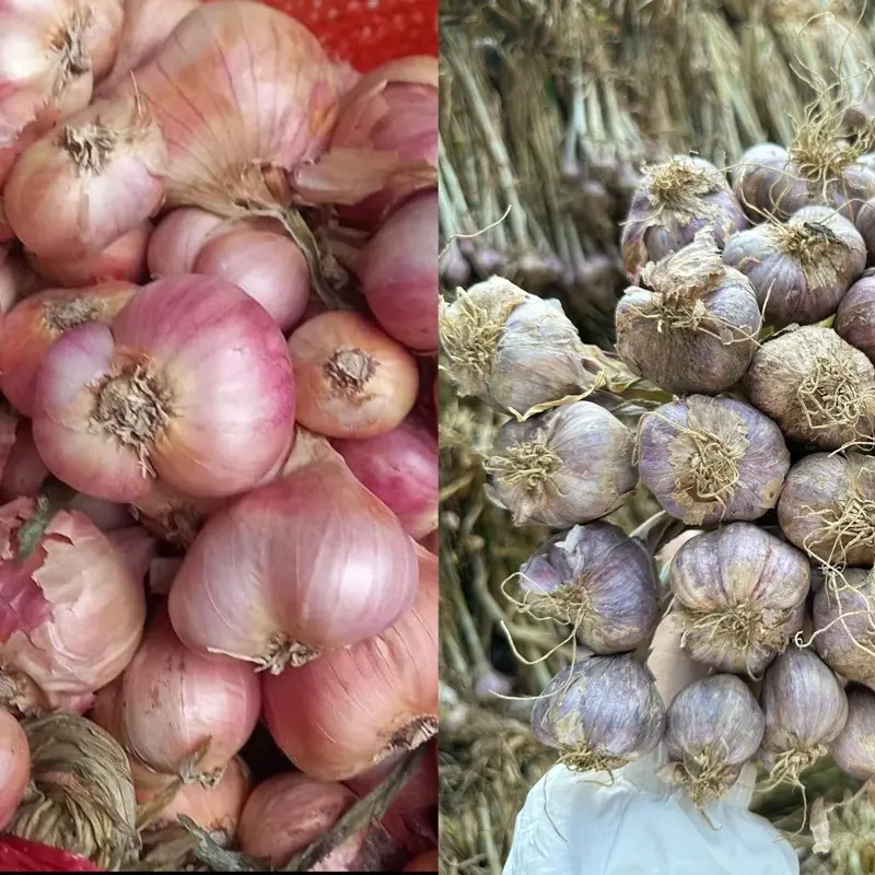 1kg tỏi tía+1kg hành khô YÊN CHÂU SƠN LA .thơm cay nồng