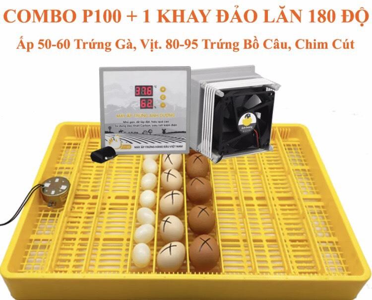 Máy Ấp Trứng Ánh Dương Đảo Tự Động 50 Trứng Gà-Bộ Tạo Nhiệt P100