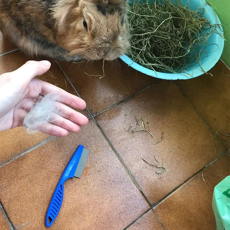 Product Introduction of 1Pc Rabbit Grooming Brush Pet Hair Remover Flea Comb Shampoo Bath Brush for Hamster Guinea Pig Rabbit Small Pet Accessories 19