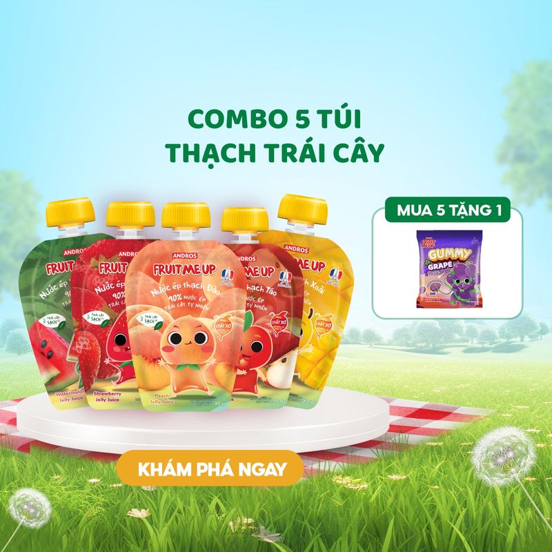 Combo 5 Túi Thạch Trái Cây - Thức Ăn & Ăn Vặt Từ Nước Ép Trái Cây & Thạch Konjac Mềm Mịn  - ANDROS FRUIT ME UP - Snack & Food -  90gx5
