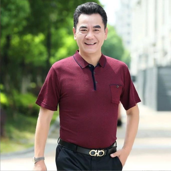 Áo Ngắn Tay Có Cổ Trung Niên Nam Dệt Chìm Họa Tiết, hàng Quảng Châu vải đẹp - Quà tặng ý nghĩa dành cho bố cho ông 2