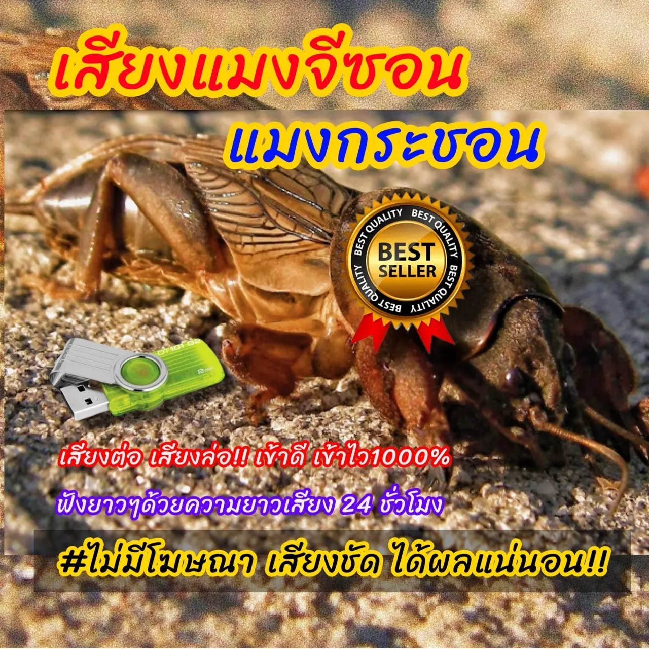 เสียงต่อแมงกระชอน24ชม. แฟลชไดร์ฟเสียงต่อแมงกระชอน แมงจีซอน แมงกิซอน ไม่มีโฆษณาแทรก ชัดแจ๋ว 100% (MP3 เสียงต่อสัตว์)