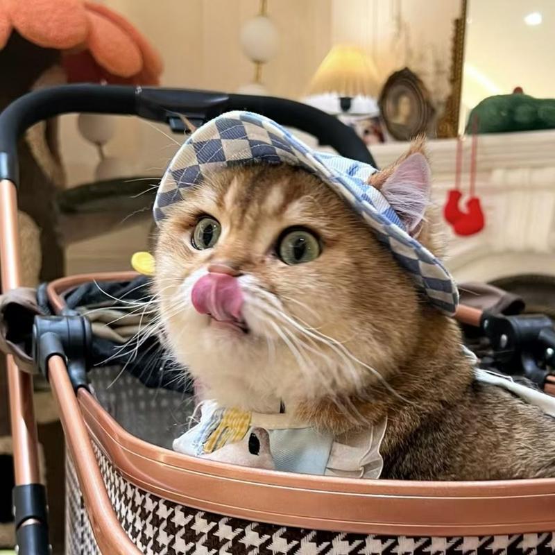 Product Introduction of Puppy Kitten Hat Corgi Cat Bucket Hat Dog Hat Thin Summer Sun Protection Summer Sun Shade Anti-Strangulation Ears 4