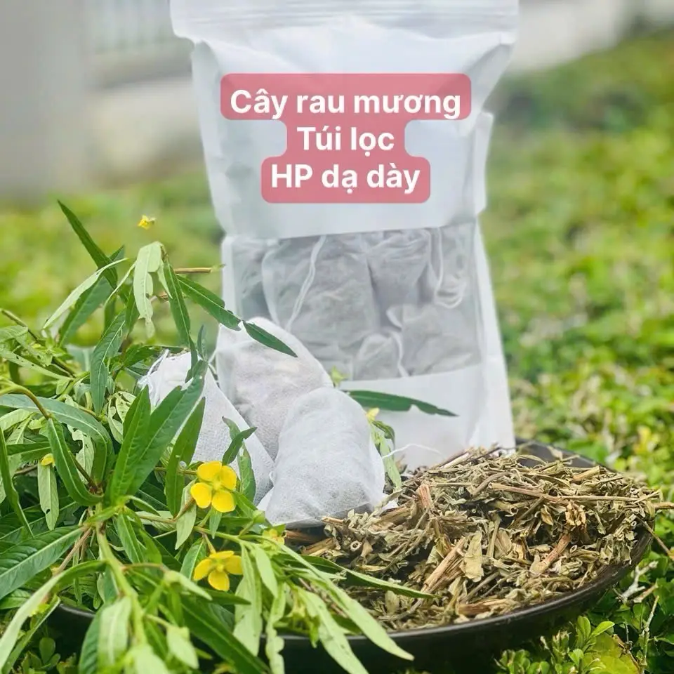 30 túi lọc cây rau mương khô thượng hạng Nước Trà - 1