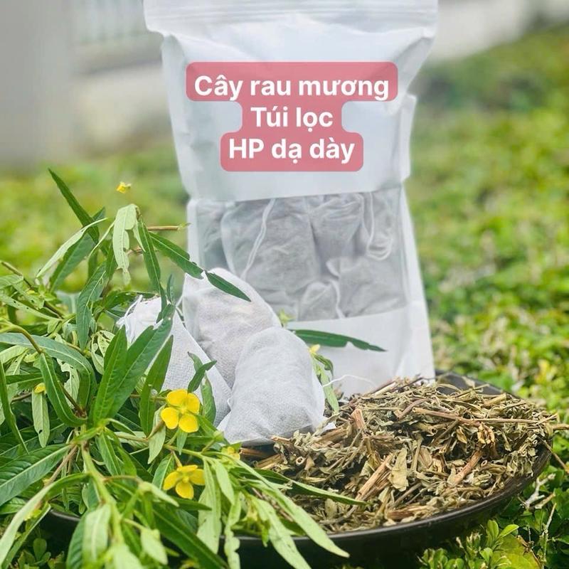 30 túi lọc cây rau mương khô thượng hạng Nước Trà