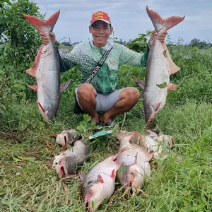 Hậu Cao Lãnh