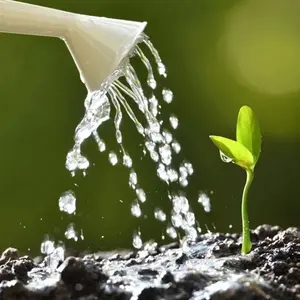 Siêu Thị Nông Nghiệp Onlinee