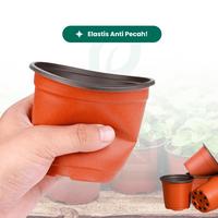 Gambar Pot Nursery 100 / Pot Elastis 8,5 cm - Serbaguna untuk Bibit Sayur & Bunga - Benih Seribuan - POT NURSERY 100 dari Benih Seribuan Kab. Boyolali 2 Tokopedia