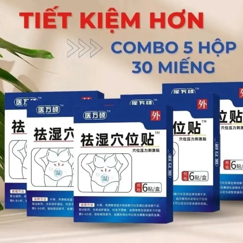 COMBO 5 hộp miếng dán nội địa gmo - hộp 6 miếng 0