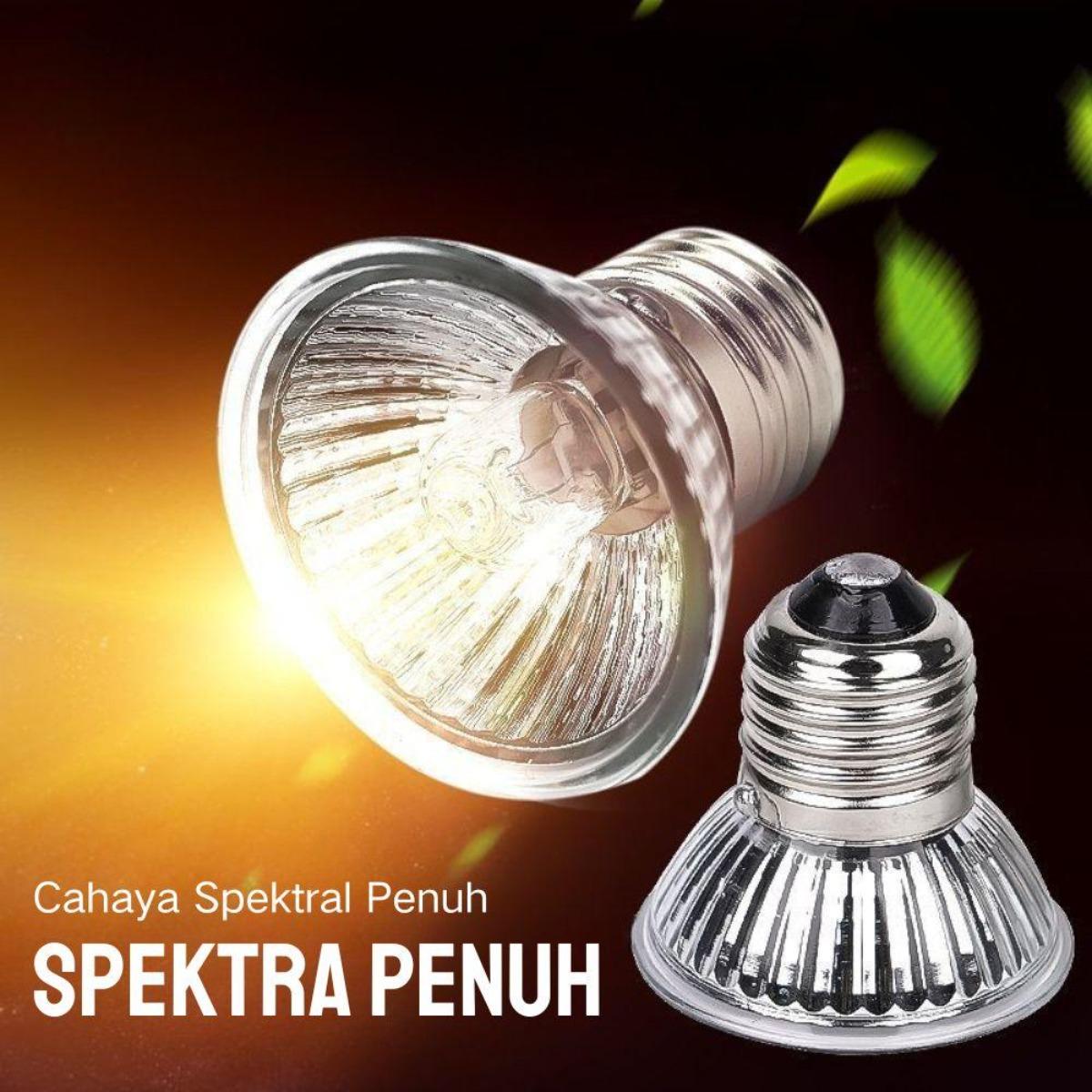 Terbaik untuk Ikan Kadal & Buaya: Lampu Kepiting Berjemur UVB & Pemanas, Suhu & Kecerahan Dapat Disesuaikan – Model [Model Name], Panjang [Panjang cm], Lebar [Lebar cm]