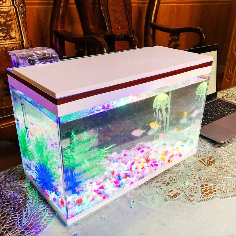 Set bể cá 40cm có lọc kèm nắp đèn và 8 món(bể, lọc, cây, sỏi màu, vỏ sò biển, nắp đèn led, ,sứa silicon ,thức ăn cá)