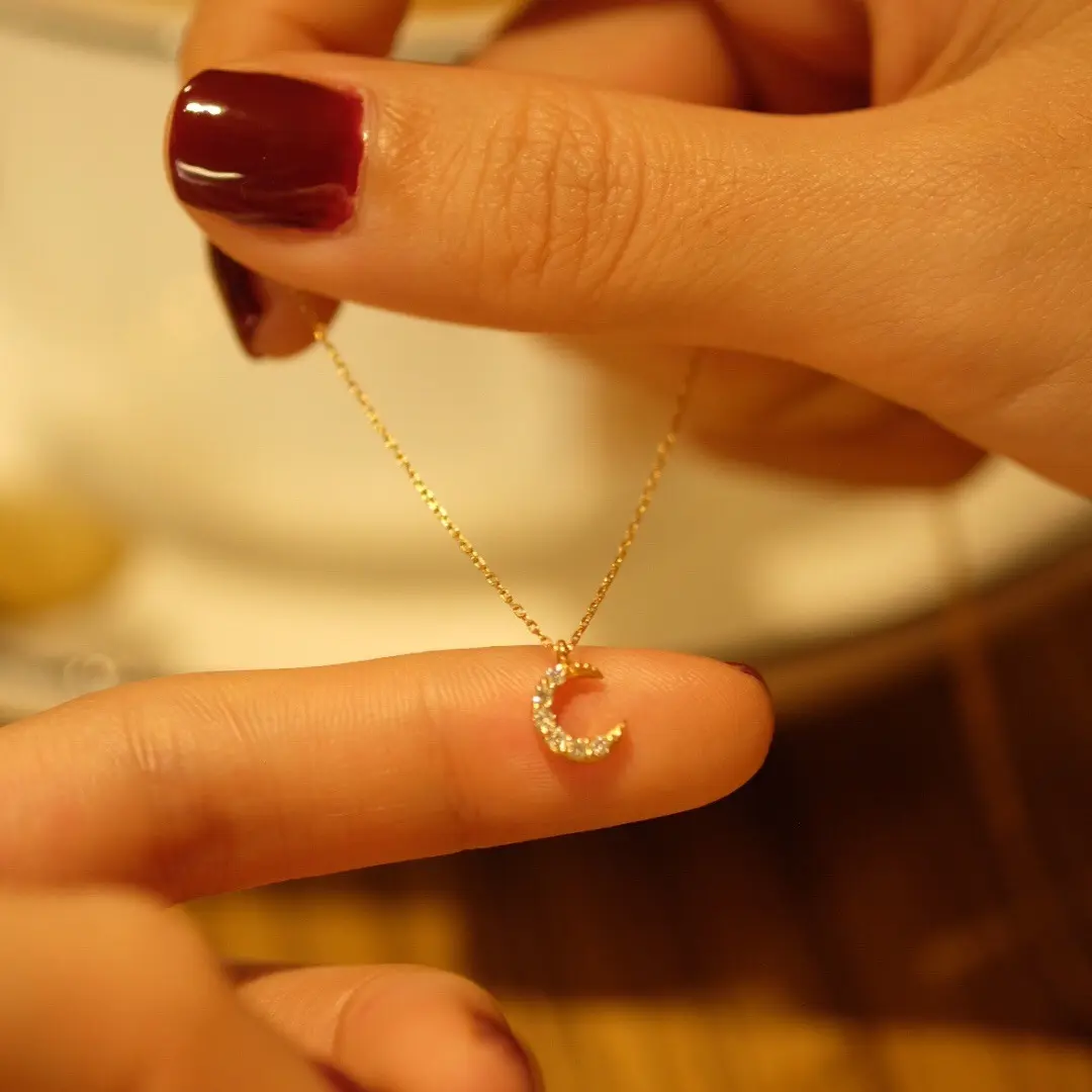 Japanese Style S925 Sterling Silver Moon Necklace for Women Niche Micro Inlaid Zircon Plated 14K Gold Bag Light Luxury New Ins Style