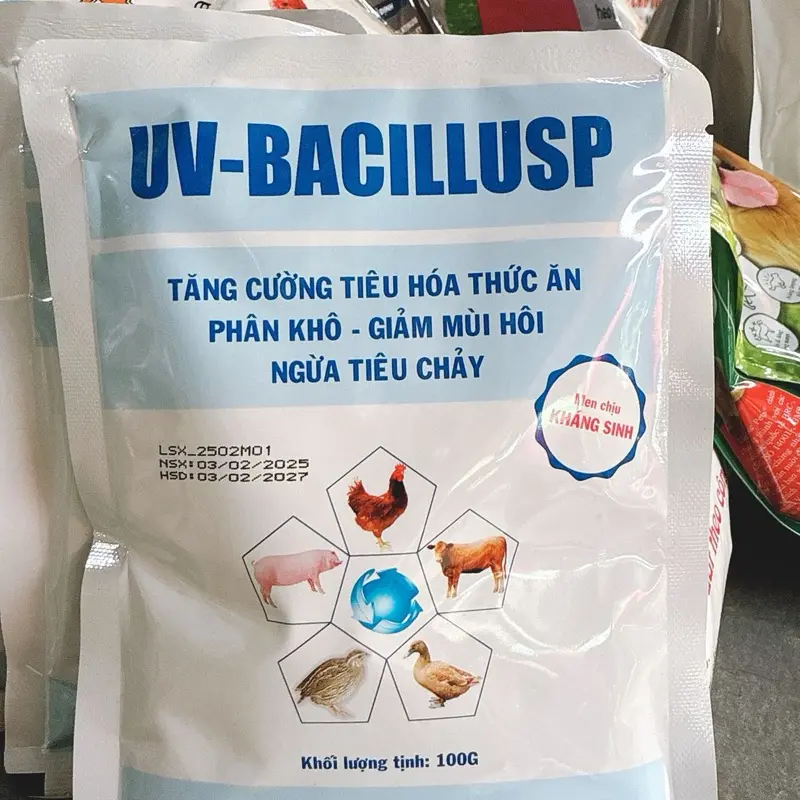 UV-BACILLUSP – Hỗ trợ tiêu hóa, giảm mùi hôi, ngừa tiêu chảy cho vật nuôi