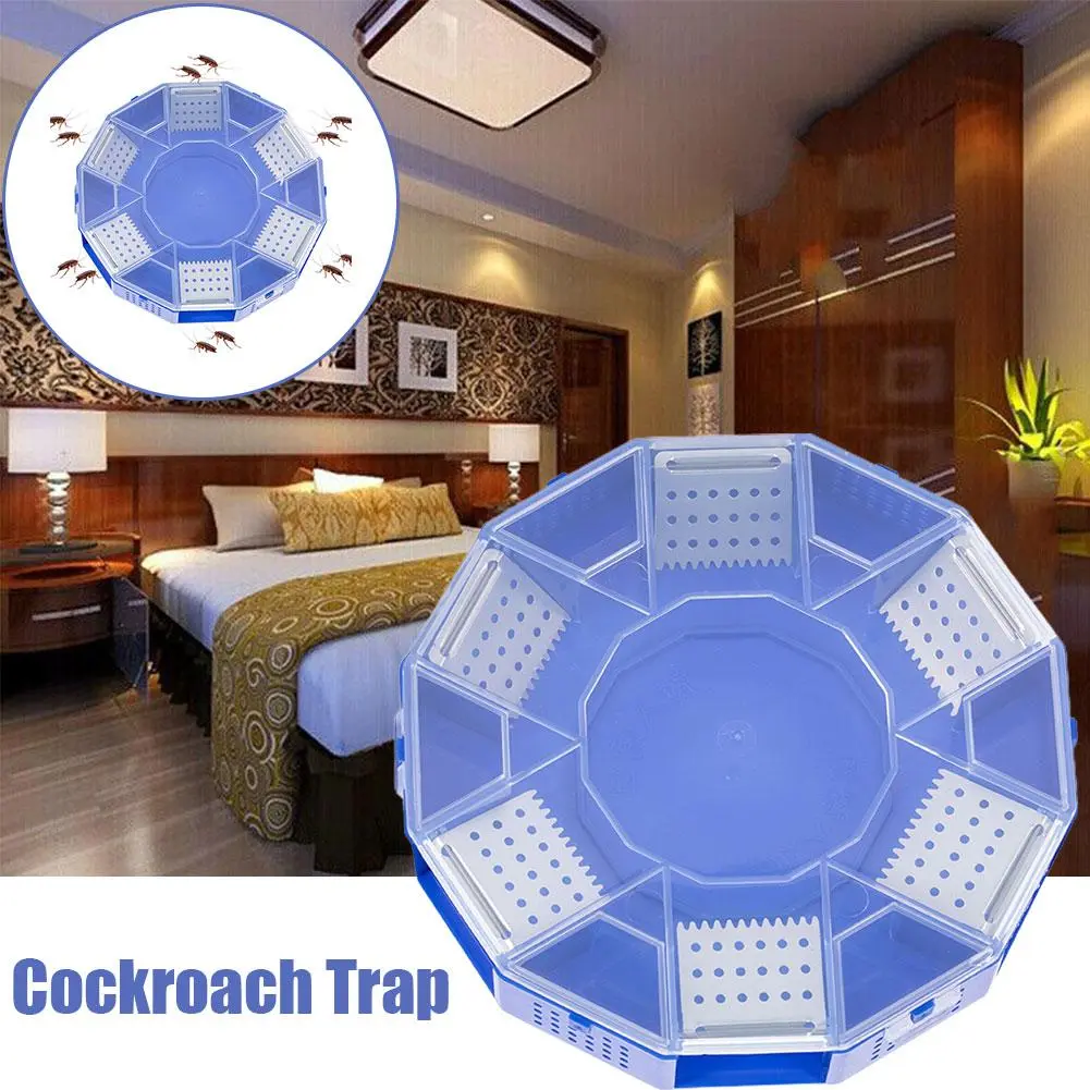 Hộp Bắt Gián, Dụng Cụ Bắt Gián, Giá Thấp Nhất, Để Sử Dụng Trong Phòng Gián