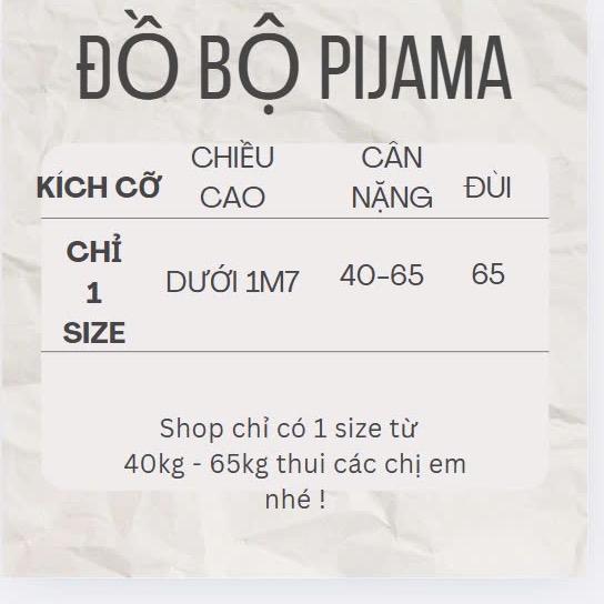 Bộ mặt nhà tiểu thư chất liệu latin mát mịn phối bèo tay bo chung mã 10 4