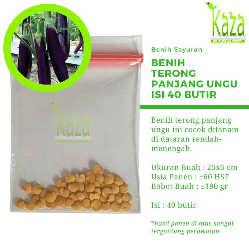 Product Introduction of Benih Terong Panjang Ungu Isi 40 butir - Terung Eggplant 1