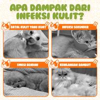Gambar Cassiel Pet Salep Kulit Kucing/Anjing - Obat Gatal, Jamur & Infeksi, Redakan Ruam, Kemerahan & Kurap - 30g dari CASSIEL-PET ID Kota Administrasi Jakarta Barat 2 Tokopedia