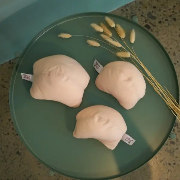 BUSA PENYUMPAL ELLING PASCA MASTECTOMY