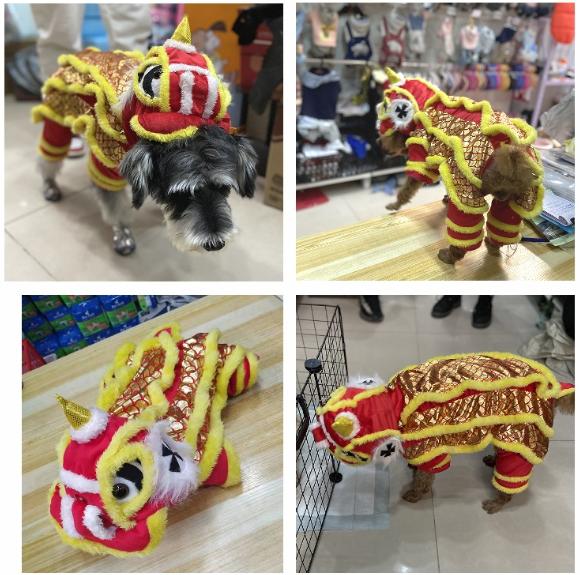 Áo quần con Lân LIỀN ĐẦU cho Chó Mèo , Quần Áo Chó Mèo có Size 5XL cho Pet Khổng Lồ , Áo Lân cho Thú Cưng đồ múa lân cho cún