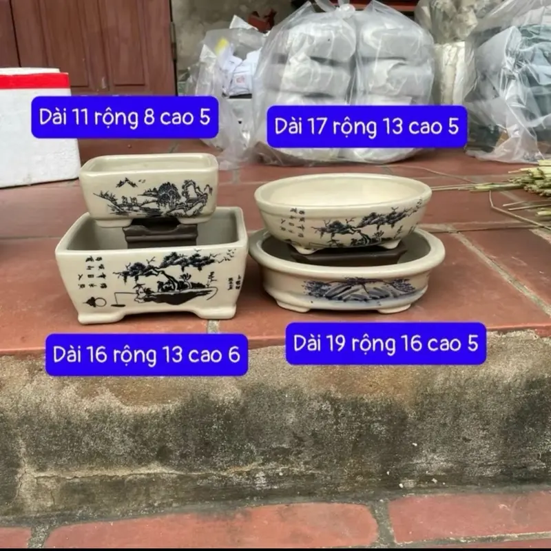 Sét 4 chậu Mini bonsai hoa văn 2 mặt sen đá nuôi cây 0