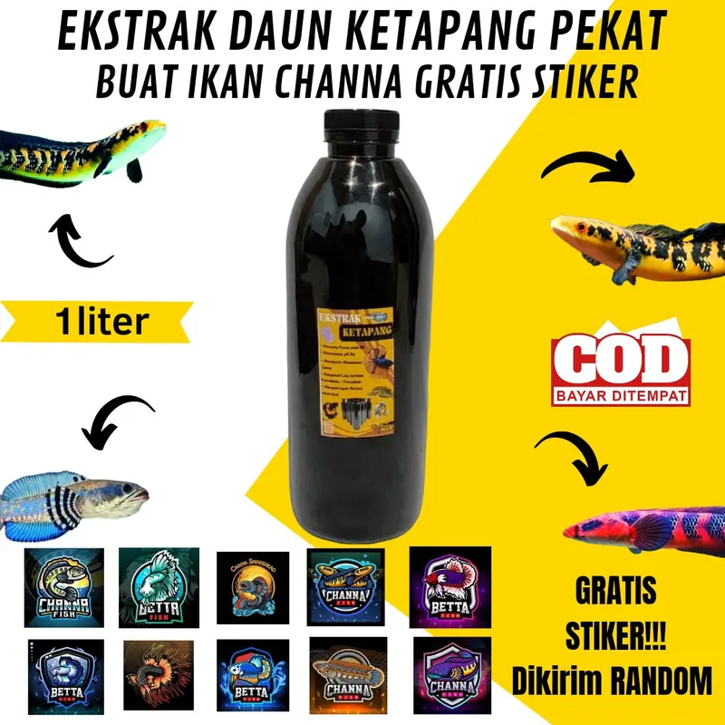 Ekstrak Daun Ketapang Pekat 1 liter botol buat Channa dan cupang 0