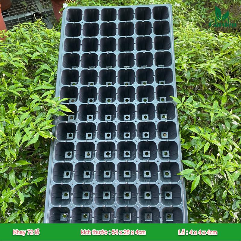 Combo 5 khay ươm hạt giống