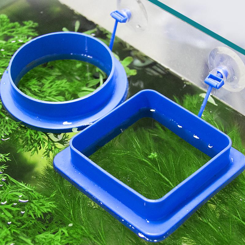 Product Introduction of Self Floating Fixed-Point Feeder Round Square for Aquarium Feeding Circle Carp Match Feeders #436947 37