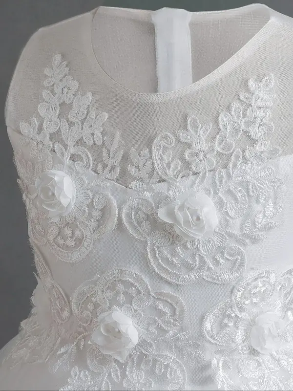 Girl's Contrast Lace Appliques Pearls High Low Hem Tulle Dress, Elegant Formal Sleeveless Zipper Back Fit & Flare Dress for Party Performance Wedding Guest, Kids Tutu Clothes for All Seasons, Tulle Overlay Dress 3