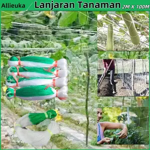 [Allieuka]2M X 100M Jaring Rambatan Tanaman Buah Merambat Plant Climbing Net Jaring Pagar Ayam Kebun  Lanjaran Tanaman