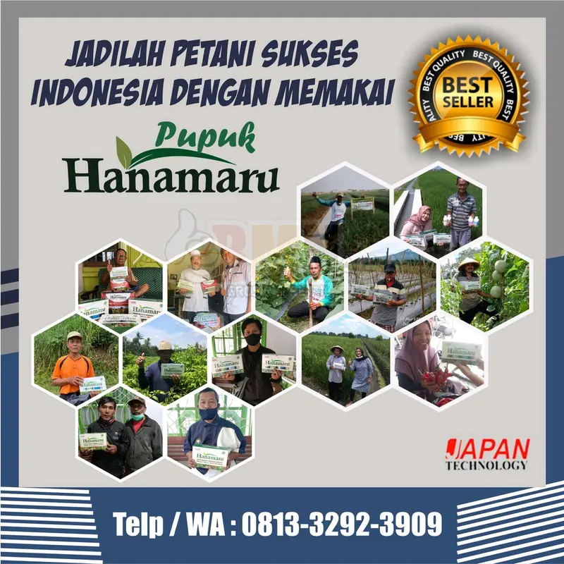 PUPUK HANAMARU - ZPT Micro (ecer) 4