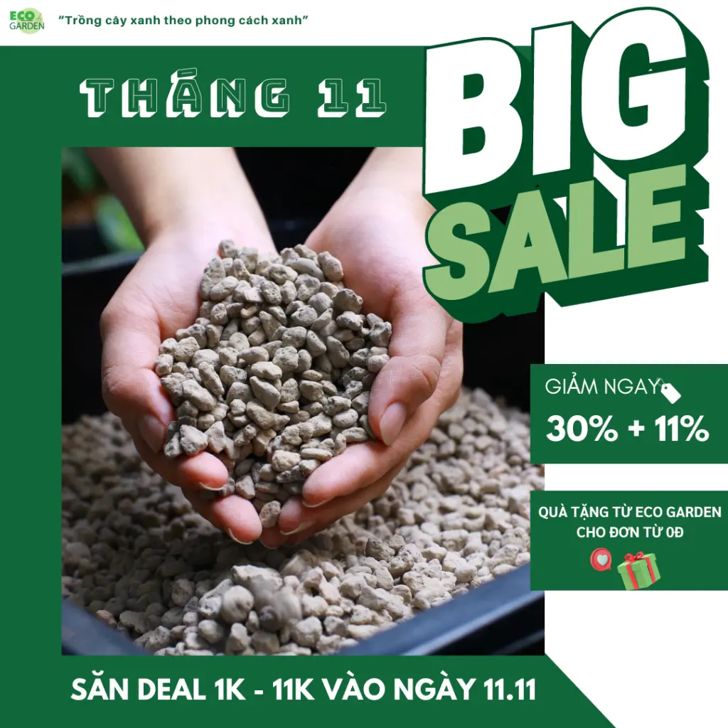 [Giảm 30%+11%] Túi 500G - Đá Pumice size 6-10mm trồng cây cảnh, rau - Phủ bè mặt đất giảm thiểu cỏ dại