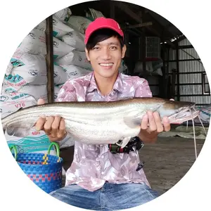 Cánh Đồng Hoang Hiếu