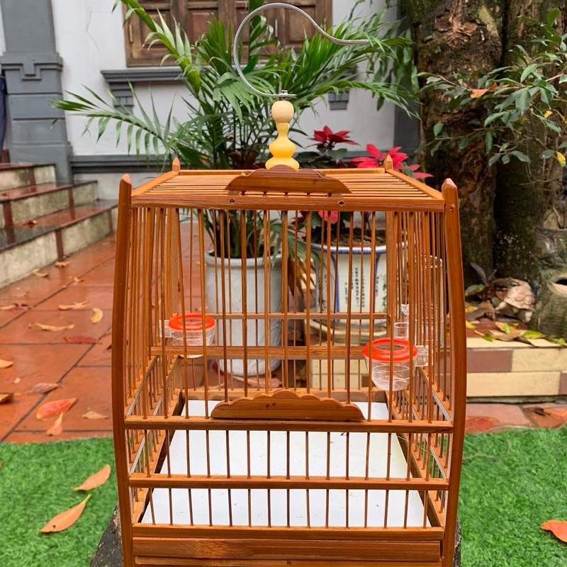 KHUNG TỰ GIÁP LỒNG THÁI CHIM KHUYÊN HÚT MẬT long ép