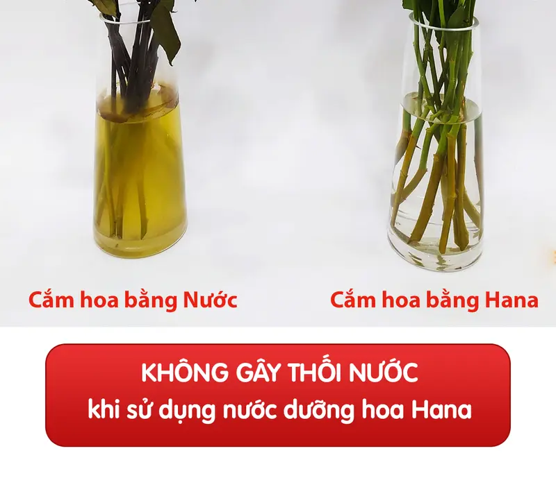 (Freeship) [50 gói x 10ml] Nước Dưỡng Hoa Tươi Lâu Hana - Giúp hoa nở đẹp, giữ hoa tươi lâu, không gây thối nước, không vàng gốc! 6