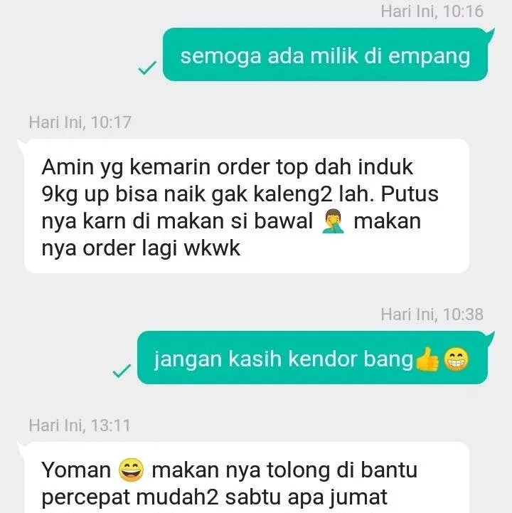 RANGKAIAN KAIL TERBARU KUAT ANTI KUSUT CABANG DUA TANPA KILI-KILI 5