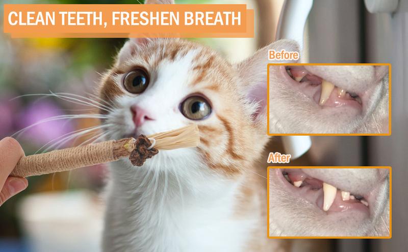 Product Introduction of Wooden Polygonum Stick Bite Combination New Cat Toy Teeth Grinding Tooth Cleansing Removal Fresh Breath 5