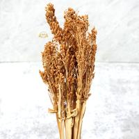 Gambar BUNGA WILDERY GRASS / BUNGA WILDERY DEKORASI HIASAN RUANG TAMU dari Hopedekorasi Kab. Sleman 4 Tokopedia