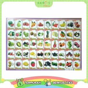 Poster Anak Edukasi Buah Isi 50 Kotak Belajar Karton