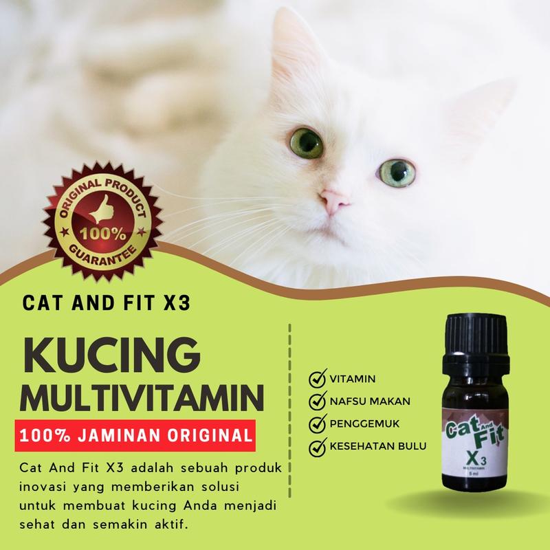 Cat And Fit X3 Multivitamin kucing gemuk bulu lebat cocok untuk vitamin kitten 2