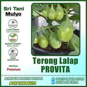 35 Biji - Benih Terong Lalap Hijau PROVITA F1 CAP PANAH MERAH - Bibit Sayuran Benih Sayuran Ijo