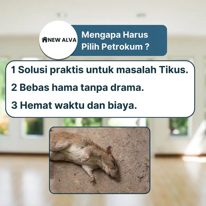 Gratis Ongkir Racun Tikus Petrokum Mati Kering Tidak Berbau 4