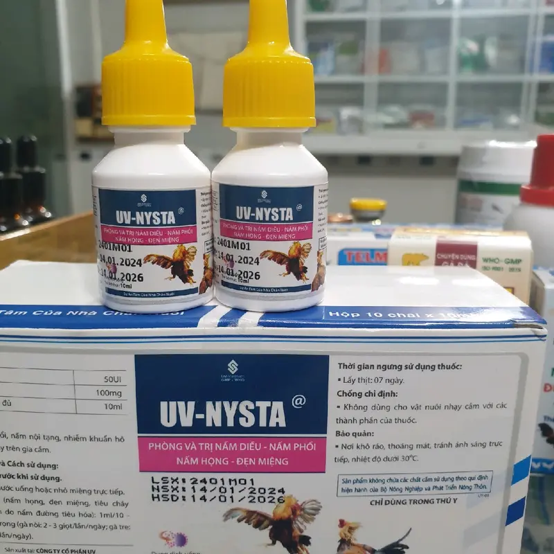 1 chai Nysta UV (dung dịch uống 10ml) đặc trị đẹn, nấm diều, nấm phổi, nấm họng cho gà đá thuốc  trị 4