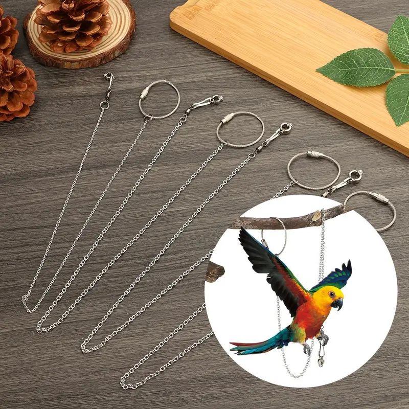 Phụ Kiện Chim, Dây Chuyền Chân Vẹt An Toàn Tập Luyện Bay, Vòng Chân Vẹt, Lắc Chân, Dây Chuyền Chân Đế, Nhẫn Chân 0