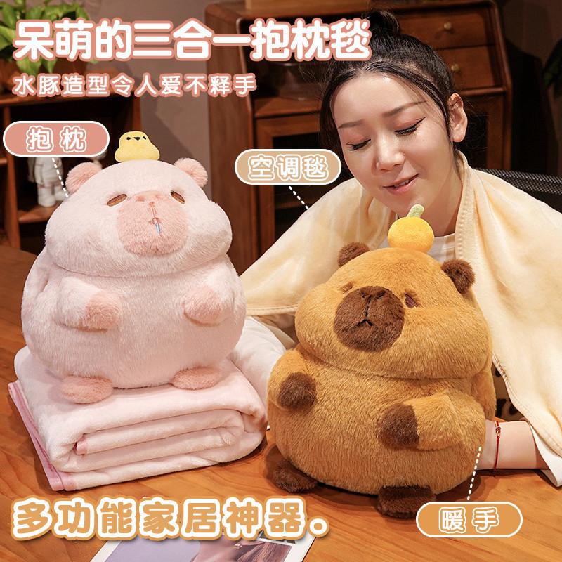 Bộ chăn gối văn phòng hình thú capy siêu đáng yêu ,Chăn mền gối văn phòng 3 trong 1 mẫu capy 6