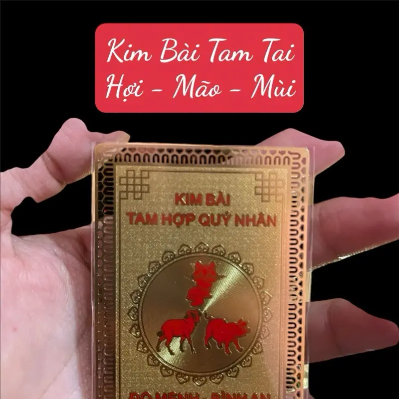 Miếng dán phụ kiện để ốp lưng điện thoại hoặc ví tiền
