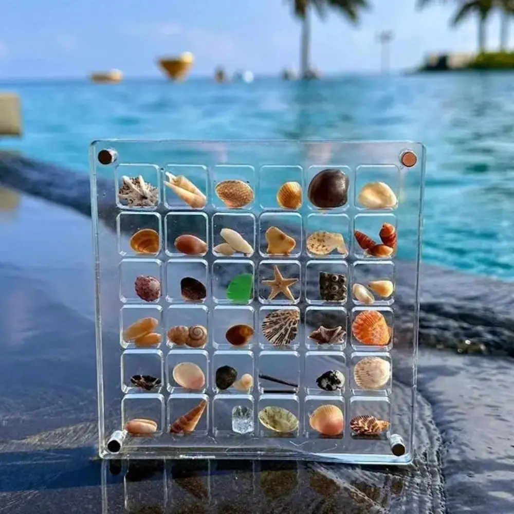Hộp Trưng Bày Vỏ Sò Từ Tính, Trong Suốt, Hàng Mới Về, Mini, Có 36 / 64 / 100 Ngăn, Hộp Đựng Bộ Sưu Tập Vỏ Sò, Làm Bằng Nhựa, Dung Tích Lớn, Hộp Sắp Xếp Thủ Công Nhỏ Có Ngăn