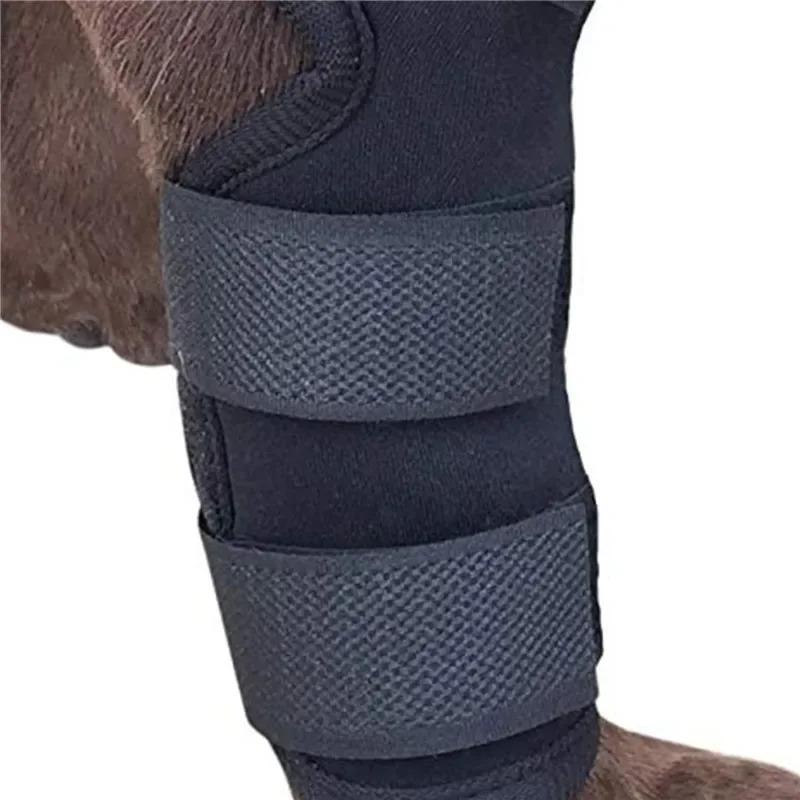 Product Introduction of 1Pair Pet Knee Pads Support Brace for Leg Hock Joint Wrap Injury Recover Legs Dog Protector Protects Bandage 10