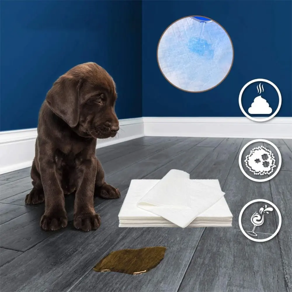 Comfortable Quick Dry Pet Urine Absorbing Paper Highly absorbent Multipurpose Pet Diaper Portable Absorbent Paper Pet